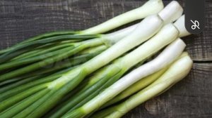 КАК ПРАВИЛЬНО ХРАНИТЬ ЛУК..ИХ СОРТА.  А ТАКЖЕ БОЛЕЗНИ.