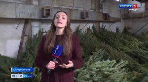 ВЕСТИ КРЫМ: выпуск 02.12.2025 11:30