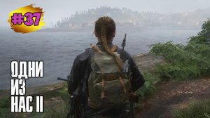 The Last of Us™ Part II Remastered # 37 ➤ Остров - Деревни