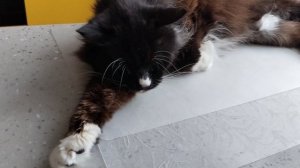 Обеденный стол- лучшая кровать!!!😀😀😀