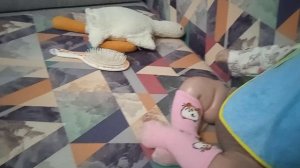 VID_20251202_173126.mp4