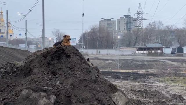 02 декабря 2025 года. Ульяновск