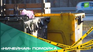 «Ничейная» помойка. Три управляйки не могут поделить уборку одной мусорки