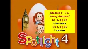 English Spotlight 4 p 58-59 Funny Animals! Спотлайт 4 стр 58-59 Забавные животные!