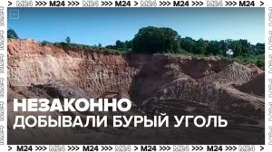 В Приамурье полицейские пресекли деятельность банды "черных копателей" - Москва 24