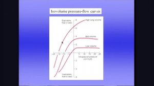 West 10 механика дыхания 2