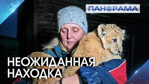 Добро пожаловать в семью! Маленький тигрёнок пополнил Мариупольский зоопарк