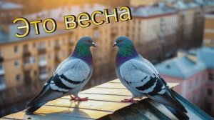 Это весна