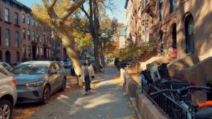 США. Прогулка по осеннему Бруклину в формате 4К