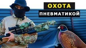 ОХОТА с ПНЕВМАТИКОЙ на ФАЗАНА часть 1
