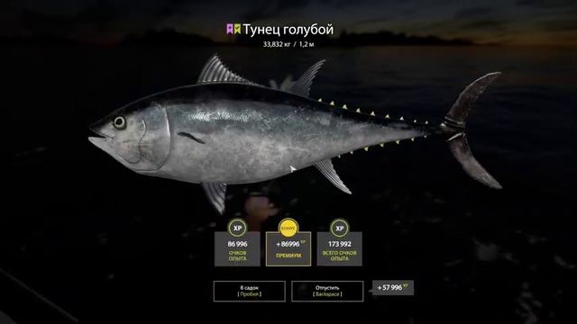 Актуальные приманки для троллинга • 6 часов троллинга за 5 минут • РР4• Норвежское Море смотреть онлайн