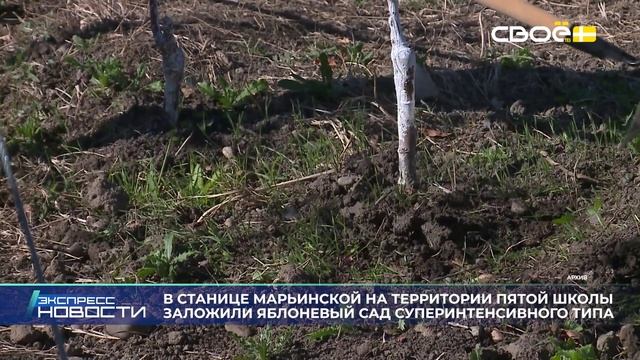 Экспресс новости на Своём от 2 декабря 2025г. 16:30