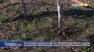 Экспресс новости на Своём от 2 декабря 2025г. 16:30