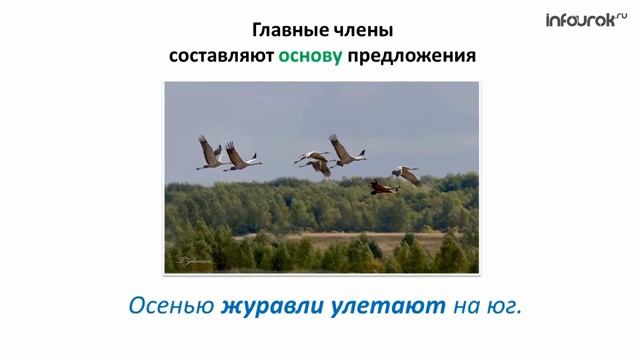 Предложение  Главные и второстепенные члены предложения  Русский язык 2 класс #3  Инфоурок смотреть онлайн