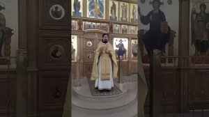 Когда придёт Царство Божие? О первом и втором пришествии Спасителя. Проповедь о. Вячеслава. 1.12.25