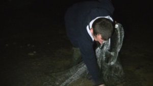 Кастинговая сеть  6м. Рыбалка одного заброса