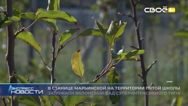 Новости на Своём от 2 декабря 2025г. 21.00