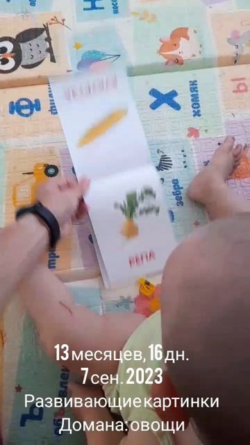 13 мес.,16 дн.Картинки Домана (овощи)(7 сен.2023).mp4