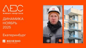 ЛЕС: ход строительства за ноябрь