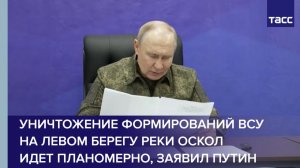 Уничтожение формирований ВСУ на левом берегу реки Оскол идет планомерно, заявил Путин