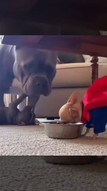 Простите, зря быканул