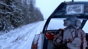 ТРИ ДНЯ ОХОТЫ НА ЗАЙЦА И ЛИСУ! ВОЛК И КАБАНЫ КРУТЯТСЯ РЯДОМ С ДЕРЕВНЕЙ! ПРОПАЛА ГОНЧАЯ!