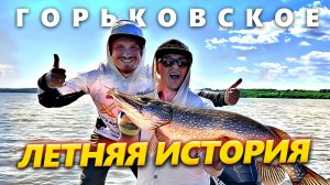 Архивные кадры, абсолютно секретно о Горьковском вдхр. лето 2025