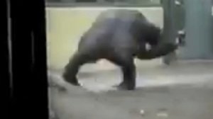 Тоже Плющенко Plushenko too