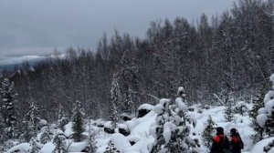 СЕНСАЦИЯ! Стало известно куда НА САМОМ ДЕЛЕ делись Усольцевы