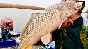 РЫБА СКОПИЛАСЬ - РЫБАЛКА ОГОНЬ ПОЛУЧИЛАСЬ! БОЛЬШЕ НОРМЫ ПОЙМАЛ - ПО ЗАКОНУ ЗАБРАЛ!