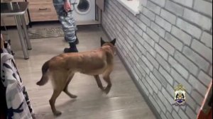 В Великом Новгороде суд огласил приговор заказчику и исполнителям вымогательства денег у бизнесмена