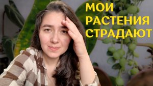 СПАСАЮ свои РАСТЕНИЯ | ПЛОХО ухаживала ЗА своей КОЛЛЕКЦИЕЙ и вот ПЛАЧЕВНЫЙ РЕЗУЛЬТАТ🪴