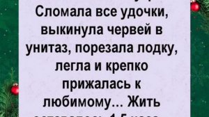 Юмор, приколы, анекдоты, статусы.