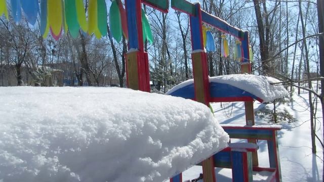 ГОЛУБИ  ПАРК НА НЕФТЯНИКЕ ХАБАРОВСК 16 марта 2025 г (Ролик+Слайд)