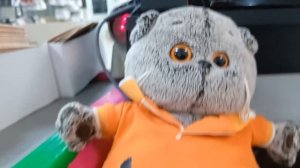 Басик когда шёл на работу встретил Петю