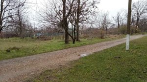 Дождливая погода сегодня ! Юг России🌴