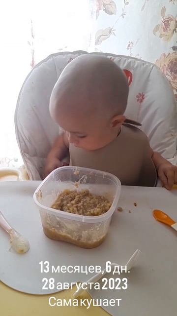13 мес.,6 дн.Сама кушает (28 авг.2023).mp4