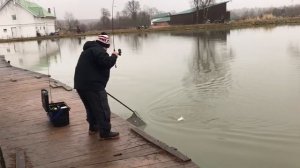 поимка форели на спиннинг