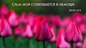 Моя сила свершается в немощи | стихи христианские