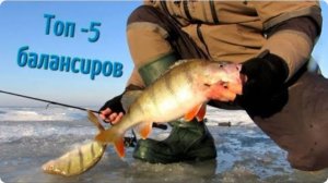 ТОП 5 балансиров для ловли окуня зимой для Начинающих и не только