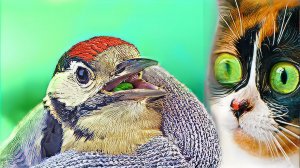 НЕ СПАСАЙ ДЯТЛА!