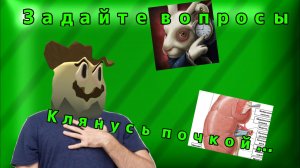 Задайте мне вопросы! 3 часть (Клянусь почкой...)