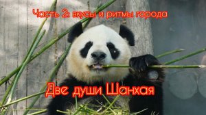 Две души Шанхая. Часть 2: вкусы и ритмы города