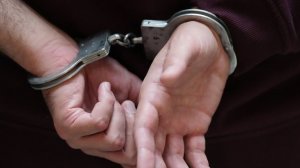 Полиция пресекла деятельность банды «черных копателей» в Амурской области