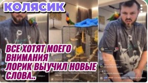 САМВЕЛ АДАМЯН, ГРАНДЕНИКО, ВСЕ ХОТЯТ МОЕГО ВНИМАНИЯ, ЛОРИК ВЫУЧИЛ НОВЫЕ СЛОВА..