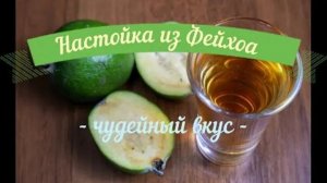 РЕЦЕПТ НАСТОЙКИ НА ФЕЙХОА. ЧУДЕСНЫЙ ВКУС. #рецепт #настойка