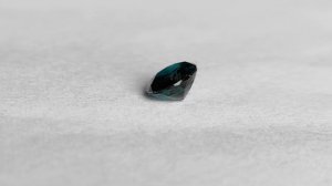 То, что мы ОТКОПАЛИ на Мадагаскаре, не должно было существовать. Первый экземпляр в истории