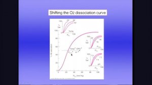 West 3 транспорт газов