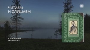 Возьмите на урок: К. Бальмонт «Камыши»