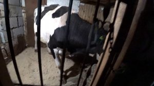 Влог от 26.10.2021